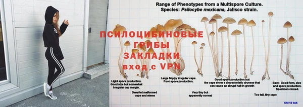 герыч Лагань