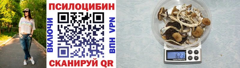 MEGA как зайти  Новочебоксарск  Псилоцибиновые грибы Psilocybine cubensis 