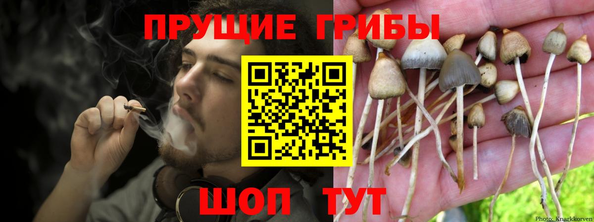 Псилоцибиновые грибы прущие грибы Новочебоксарск